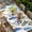 White, variant on Watercolor Botanical Table Cloths for 6 Foot Rectangle Tables, Blue Yellow Leaves Floral Plants Spring Patio Waterproof Elastic Fitted Tablecloths, Washable Rectangular Table Cover for Camping