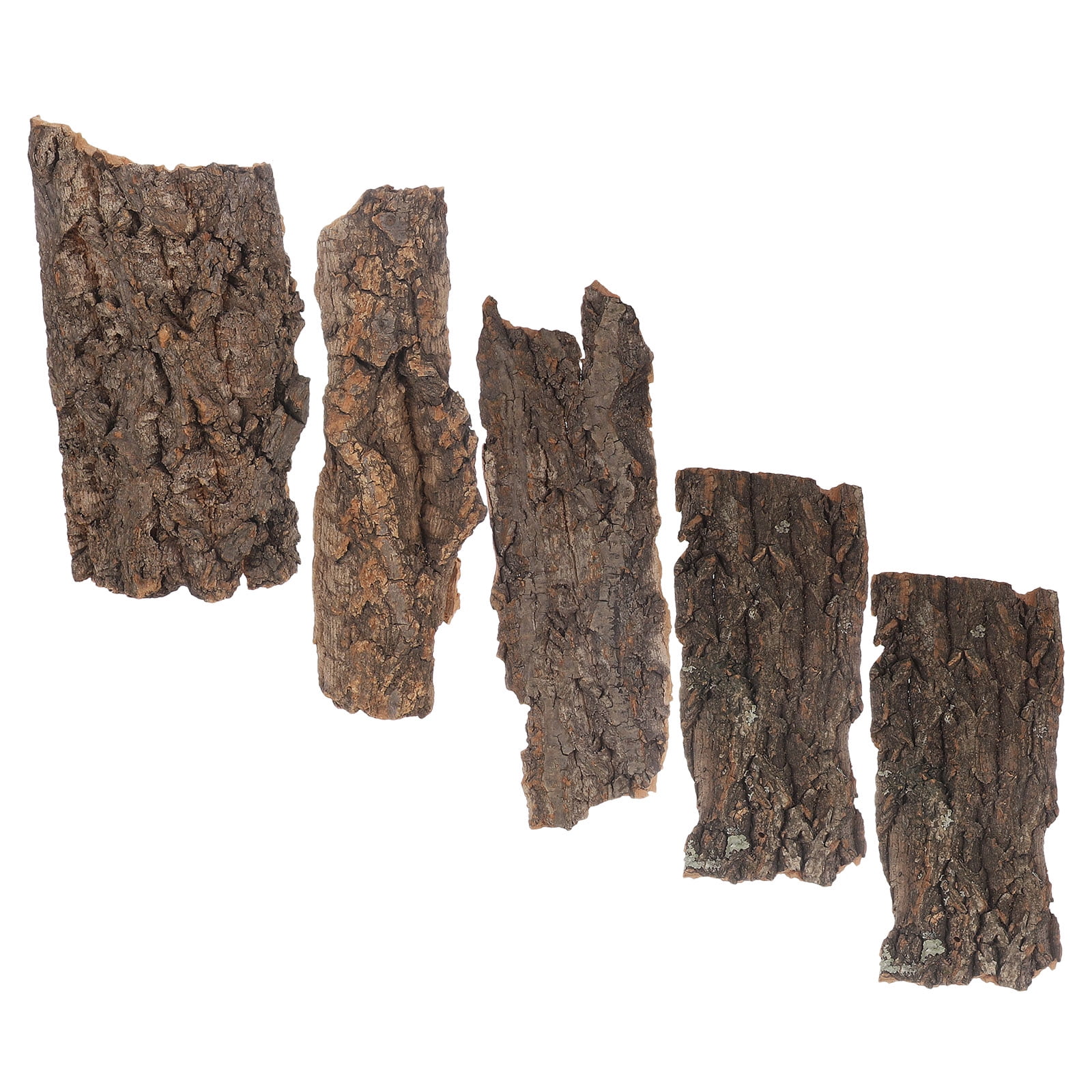 COMPUKAS 5pcs Reptile Climbing Accessory Terrarium Background Panel Tree Bark