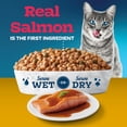 thumbnail image 4 of Blue Buffalo Tastefuls Irresistible Gravy Experience Adult Indoor Cat Dry Food, Salmon & Brown Rice Recipe, 10-lb. Bag, 4 of 12
