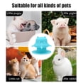 thumbnail image 4 of Pgyong Food-Grade Puppy Nursing Bottle with Silicone Suction Cup - Anti-Slip Pet Milk Bowl Defend-birth Feeding Device With Multiple Nipples Suitable For Kittens And Puppies,230ml, 4 of 6