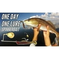 thumbnail image 4 of Strike King Redfish Magic 1/8 oz Spinnerbait Lure Pearl, 4 of 6