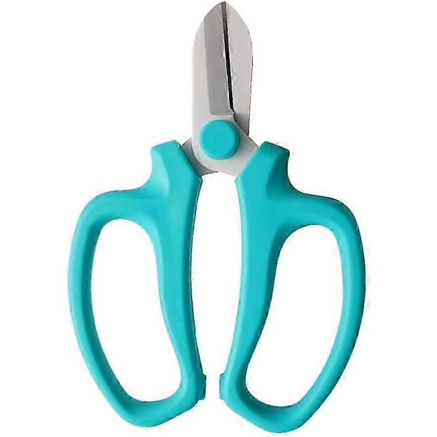 Floral Shear Garden Pruning Floral Shear Fruit Leaf Scissors Hand Pruner Snips Cutting Tool Sky