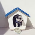 thumbnail image 5 of Cuencos para perros, cuenco para mascotas de alimentación lenta, sin calzos, cuenco para comer, divertido alimentador lento para mascotas, cuenco para perros, color blanco, 5 of 5