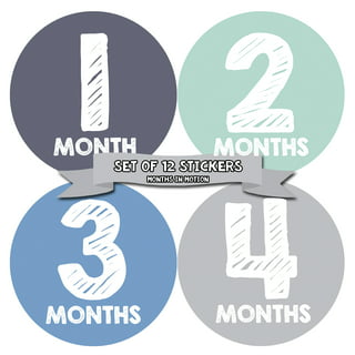 Months In Motion - Baby Month Stickers - Monthly Baby Sticker for Girls -  Floral (1113) 