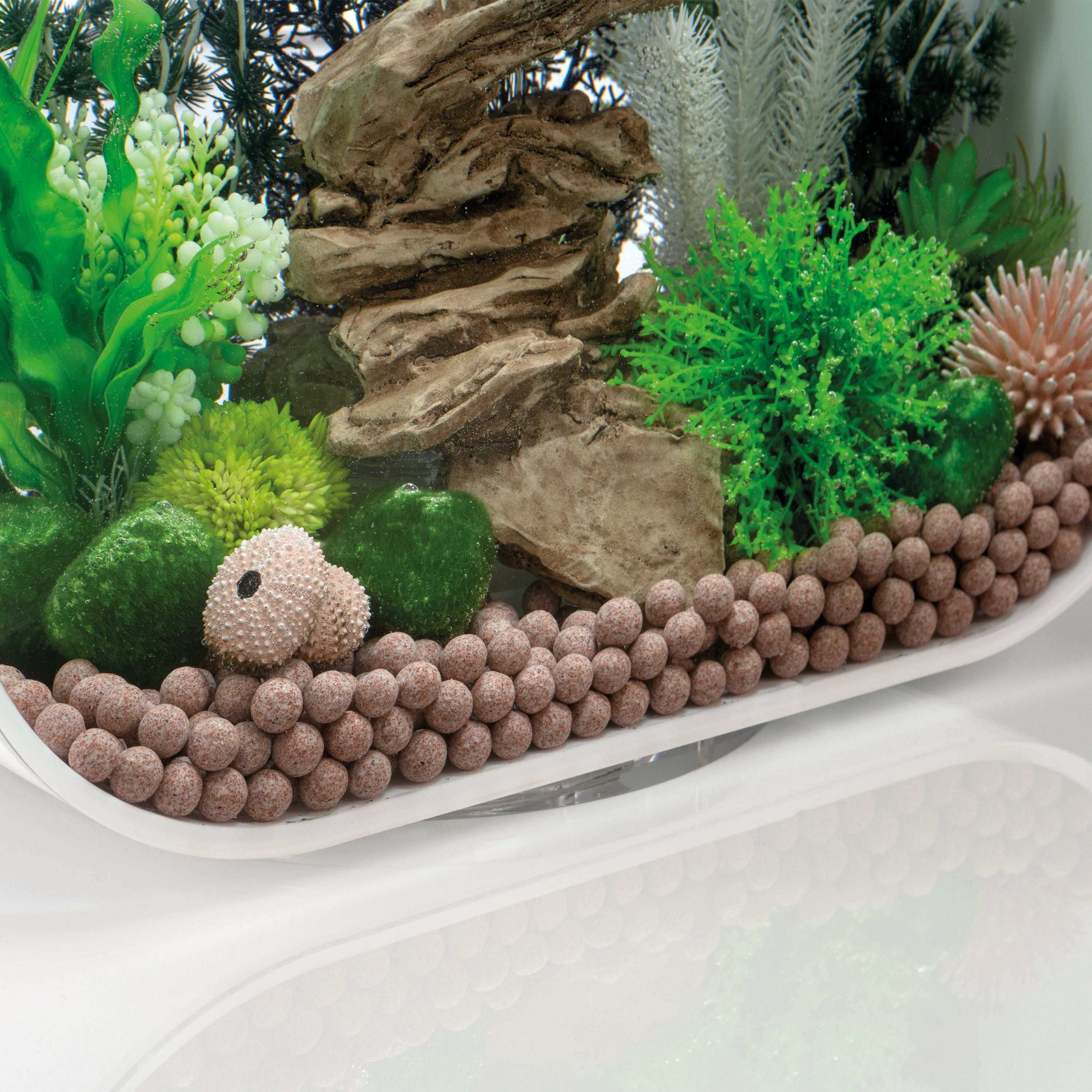 biOrb Pearl Media
