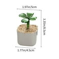 thumbnail image 5 of Glass Clover Planter Decor Green Four Leaf Clover Desktop Decoration Small Potted Ornament for Office Home Gift(B), 5 of 6