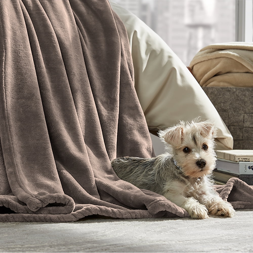 Bare Home Luxurious Ultra Soft Premium Microplush Fleece Blanket