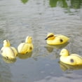 thumbnail image 2 of DOLITY 4x Canards Flottants Mignons 5 Pieds' pour Bébés, Ornements de Bassin Colvert, 2 of 9