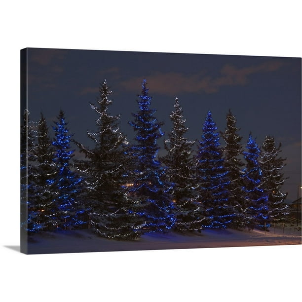 Great BIG Canvas "Calgary, Alberta, Canada, A Row Of Evergreen Trees