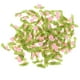 thumbnail image 5 of 100 Piezas de Flores de Lazo de Tela Satinada Hugo Manualidades, 5 of 7