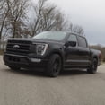 thumbnail image 2 of Frt HQ Coil-Overs 15-23 F-150, 2 of 2