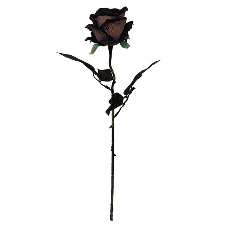 Real Dried Roses 10 Stems – Floral Supplies Store