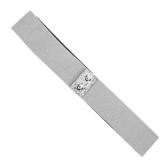 2546 Women\'s Sparkly Glitter Waistband Wide Stretch Elastic Belt Wedding Women main image 4