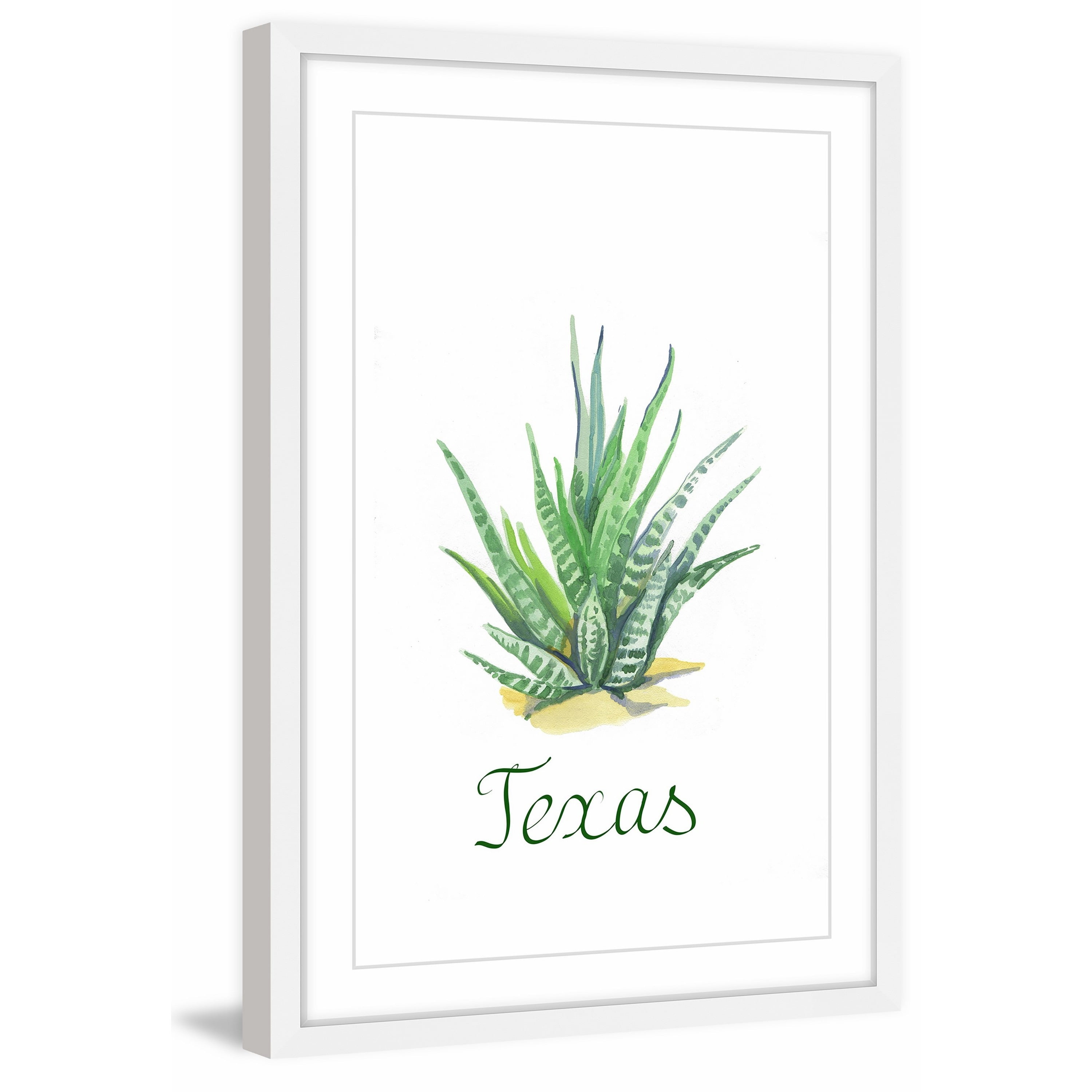 Mother-in-Law's Tongue Framed Painting Print