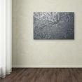 thumbnail image 3 of Kurt Shaffer 'Sunlight Frost Abstract' Canvas Art, 3 of 4