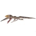 thumbnail image 2 of Cute Highly Stimulation Lifelike Animal Model, Dinosaur Model Kid For Children True Double Teeth Dinosaur Toy,Double Teeth Dinosaur Toy,Mini Dinosaur Toy, 2 of 8