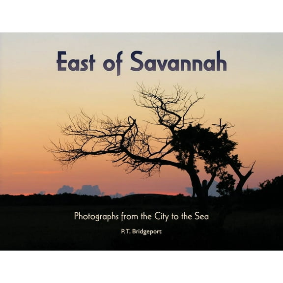 East of Savannah: Photographs from the City to the Sea, (Paperback)
