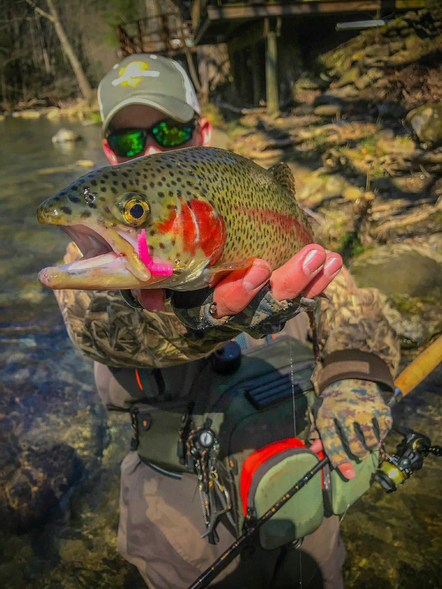 Lelands Lures Trout Magnet Softbait Bugs Small Hellgrammite Multi-Colored