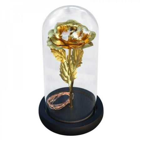 

HLONK Valentine‘s Day Artificial Gold Foil Rose Flower and LED Night Light String In Glass Dome On Wooden Base (Battery Not Included)