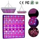 thumbnail image 2 of Plant lamp 45W LED plant lamp Full spectrum growth lamp Plant light, 2 of 5
