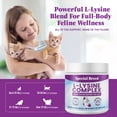 thumbnail image 6 of L-Lysine for Cats and Kittens – Cat Supplement for Immune, Respiratory & Eye Support – Lysine Powder with Prebiotics, Bone Broth, Krill, & DMG for Sneezing, Vision, Immunity – 120 Scoops, 6 of 8