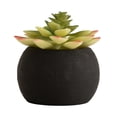 thumbnail image 1 of DesignOvation 4.25"H Tabletop Artificial Succulent in Black Textured Cement Pot, 1 of 8