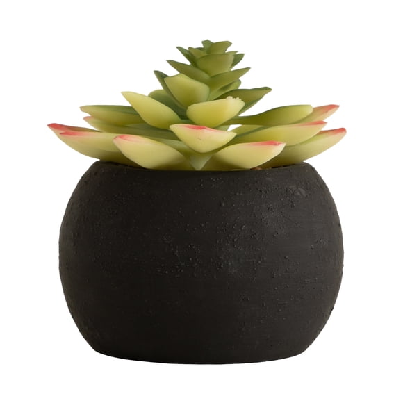 DesignOvation 4.25"H Tabletop Artificial Succulent in Black Textured Cement Pot