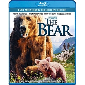 The Bear (DVD), Shout Factory, Action & Adventure - Walmart.com