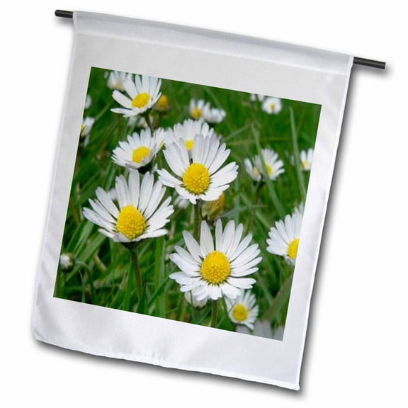 3dRose, Daisy, 12 x 18 inch Garden Flag