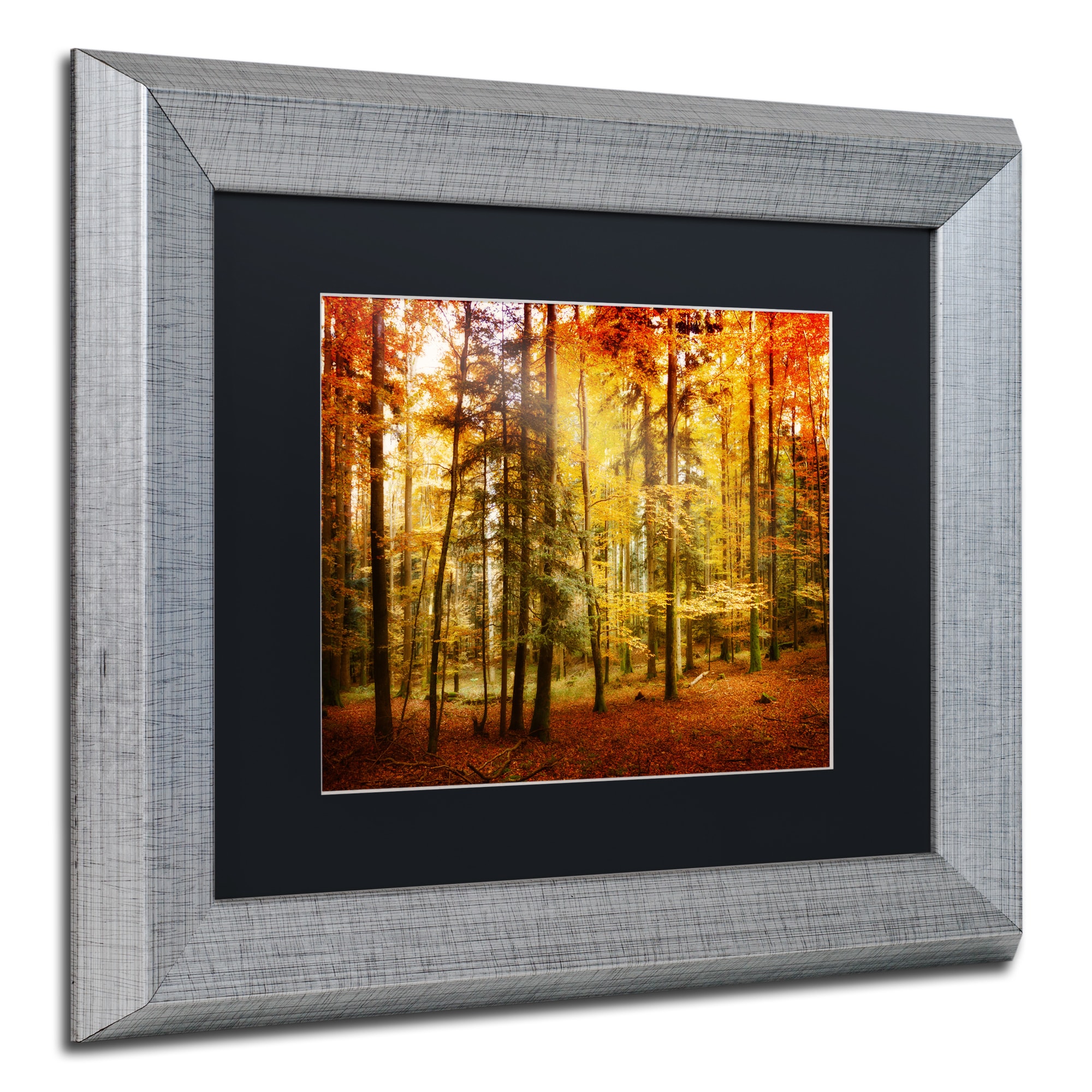 Trademark Fine Art "Fall Color" Canvas Art by Philippe Sainte-Laudy Black Matte, Silver Frame