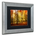 thumbnail image 3 of Trademark Fine Art "Fall Color" Canvas Art by Philippe Sainte-Laudy Black Matte, Silver Frame, 3 of 5