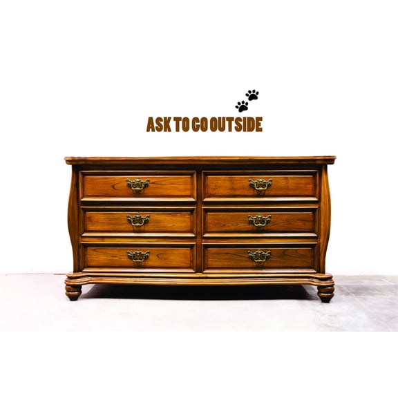 Custom Wall Decal Vinyl : Ask To Go Outside Home Decor Picture Art 12 X 30