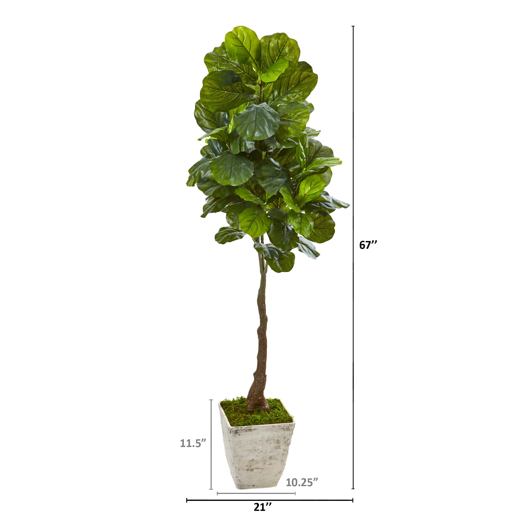 Nearly Natural 67in. Fiddle Leaf Artificial Tree in Country White Planter (Real Touch)