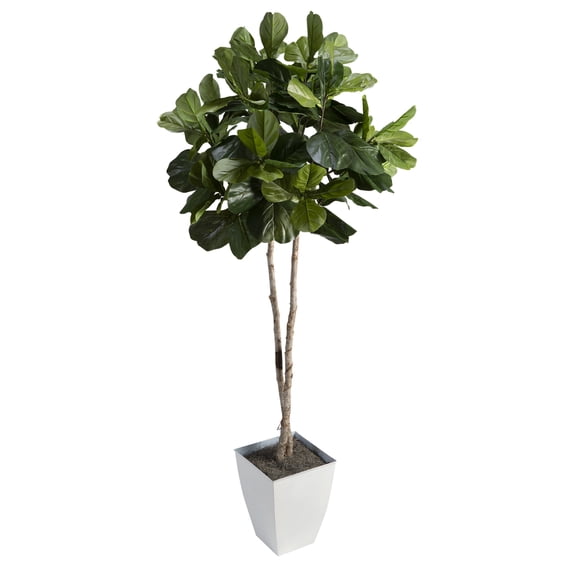 D&W Silks 7' Fiddle Leaf Fig Tree in White Square Metal Planter