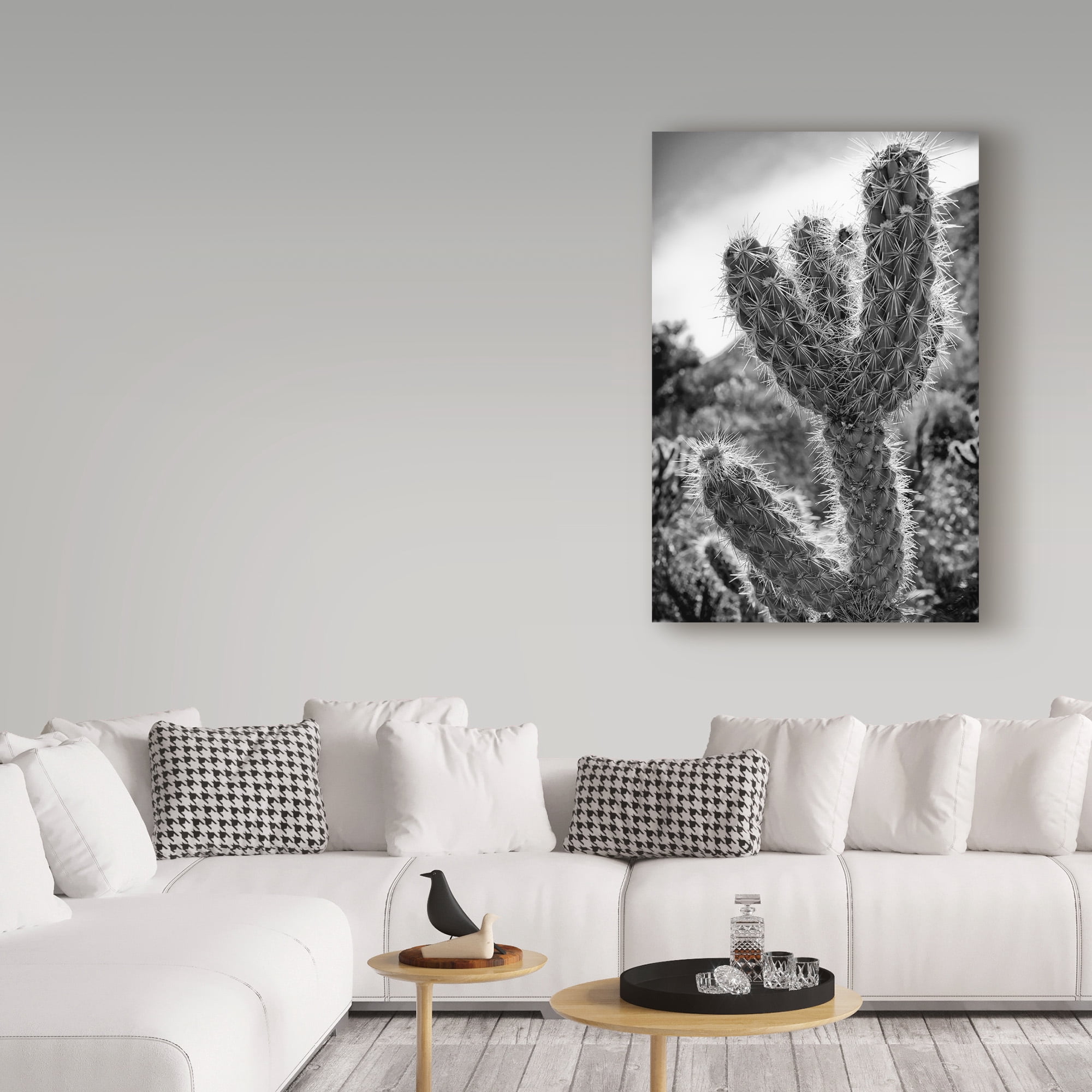Trademark Fine Art 'Cactus Close Up' Canvas Art by Janice Sullivan