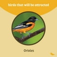 thumbnail image 4 of Birds Choice 2-Cup Nectar and Jelly Oriole Feeder, Orange, 4 of 16