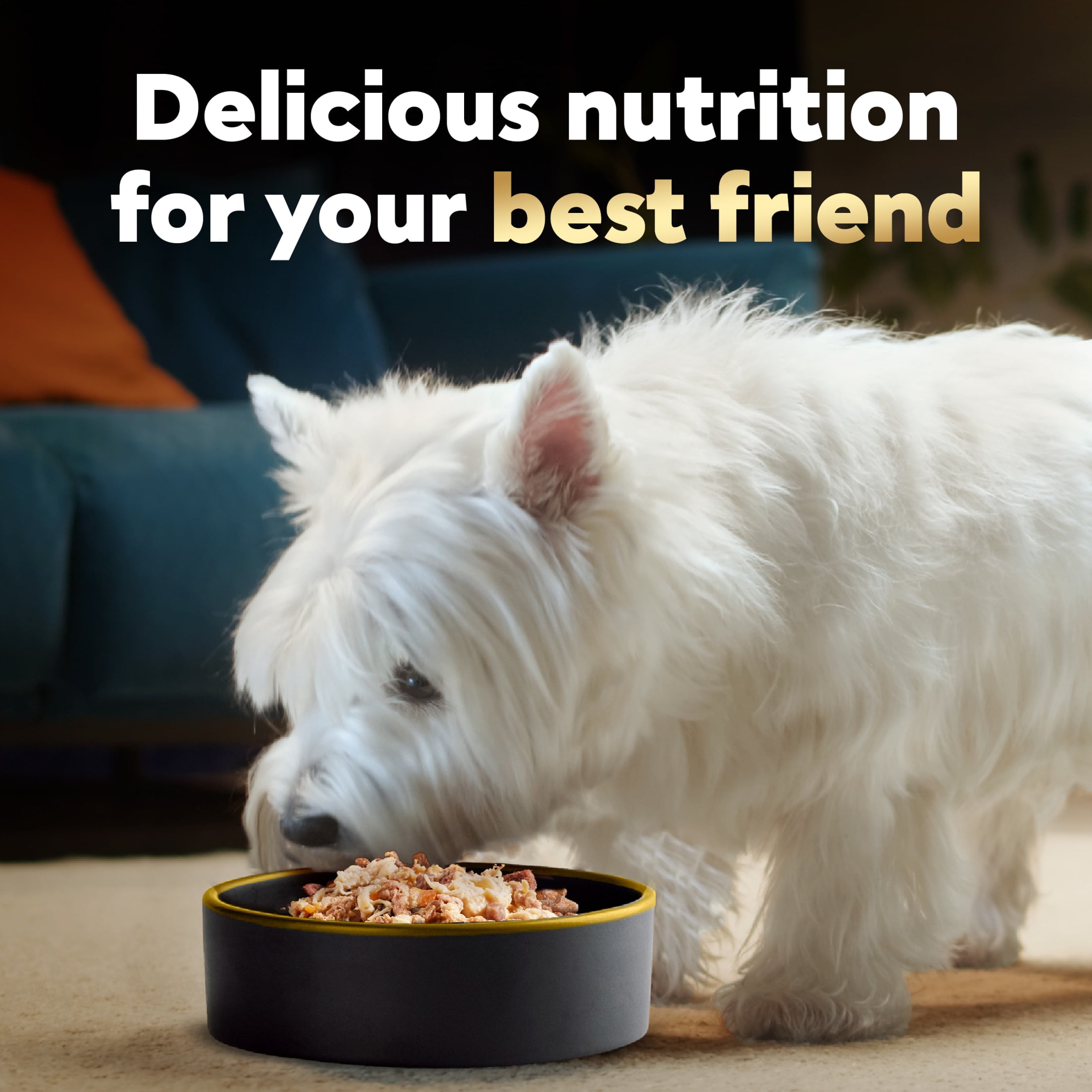 (10 pack) Cesar Warm Bowls Wet Dog Food Chicken & Beef Entree With Vegetables Entrée, 2.7 Oz. Trays, 10 Pack
