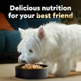 thumbnail image 4 of Cesar Warm Bowls Wet Dog Food Chicken & Beef Entree With Vegetables Entrée, 2.7 Oz. Trays, 10 Pack, 4 of 9