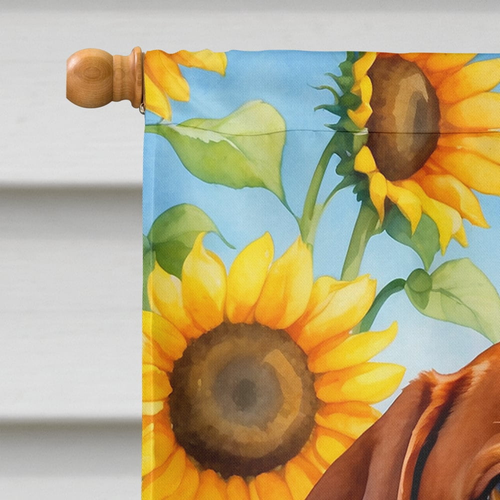 Yorkshire Terrier in Sunflowers House Flag