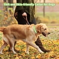 thumbnail image 3 of PcEoTllar Reflective Dog Collar - Ultra Soft Neoprene Padded Safety Nylon Collars with Quick Release Buckle for Medium Dogs (Green), 3 of 7