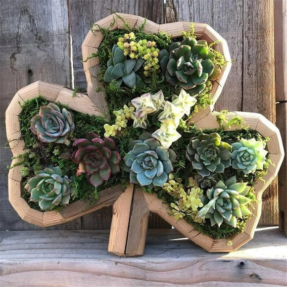 Animal Shaped Wooden Succulent Plant Pot,Cute Animal Succulent Garden Planter for Bonsai Decorations,Creative Unique Desktop Planter Planter Outdoor Pots Garden Decorations (Clover)