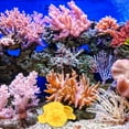 thumbnail image 4 of unbranded De Acuario Con Coral Simulado De Silicona Amarillo Para Paisaje Duradero, 4 of 5