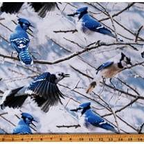 Cotton Bluejays Birds Winter Nature Christmas Call of the Wild Blue Cotton Fabric Print by the Yard (V5214-262-BLUEJAY)