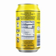 Ginger-Lemon Kombucha in Cans (Pack of 12)