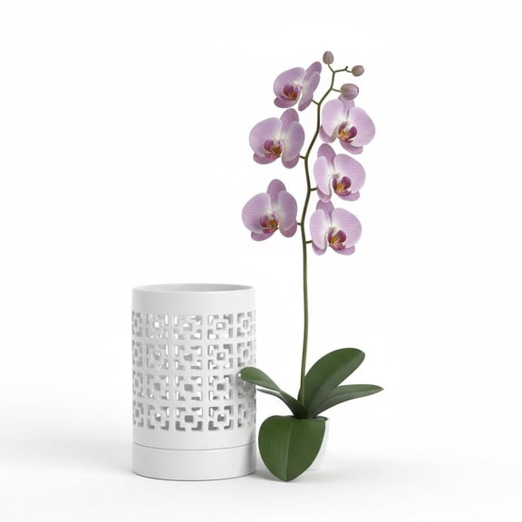 Ceramic Orchid Planter with Holes Orchid Pots with Tray for Indoor Home Outdoor Plants Decoration, White