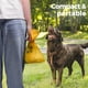 thumbnail image 3 of Bolsas para excrementos de perro PAWSHOLIC biodegradables, 270 unidades, 3 of 9