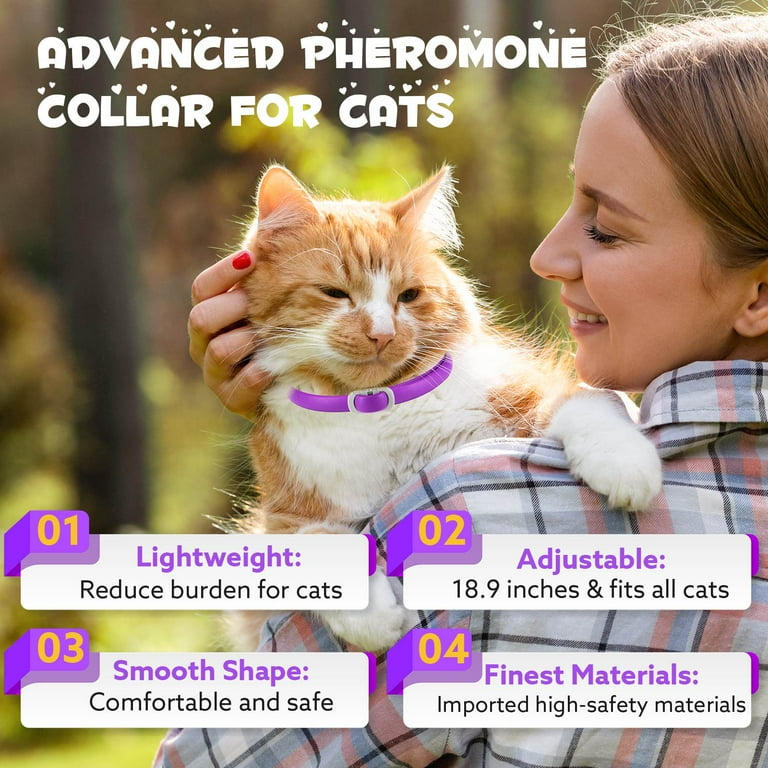 Cat calming collar clearance walmart