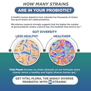 Vital Planet - Vital Flora Ultra Daily Shelf Stable Probiotic 60 Capsules