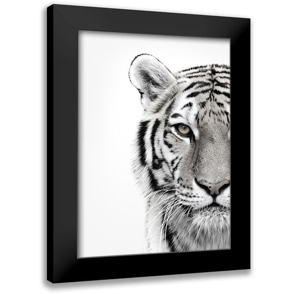 Design Fabrikken 11x14 Black Modern Framed Museum Art Print Titled - White Tiger
