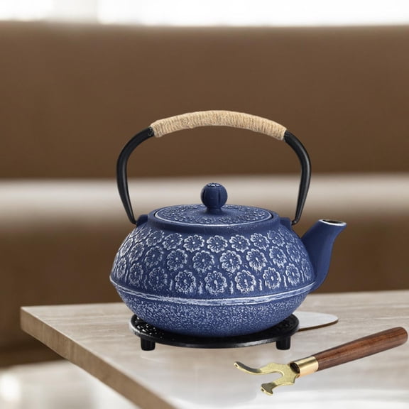 Fancyes Cast Iron Tea Kettle 900ml Traditional Internal Enamel Japanese Tea Pot for Tea Bags Kitchen Outdoor Restaurant Home